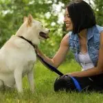 Become more predictable for dogs
