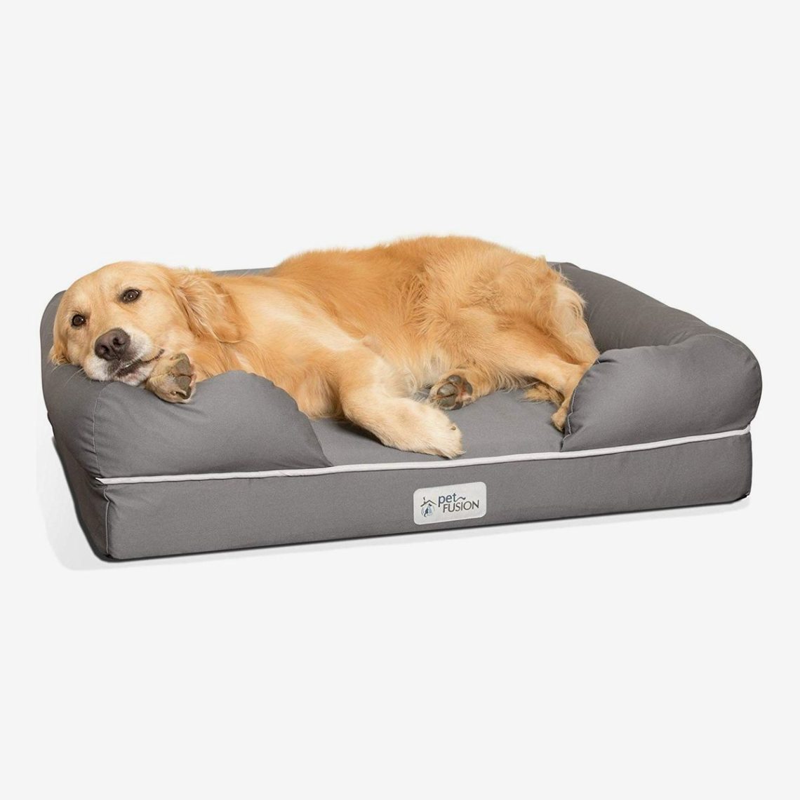 Bed for a dog: why is it?