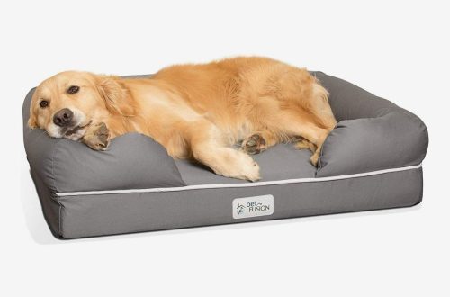 Krevet za psa: zašto?