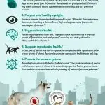 Benefits of Taurine for Cats