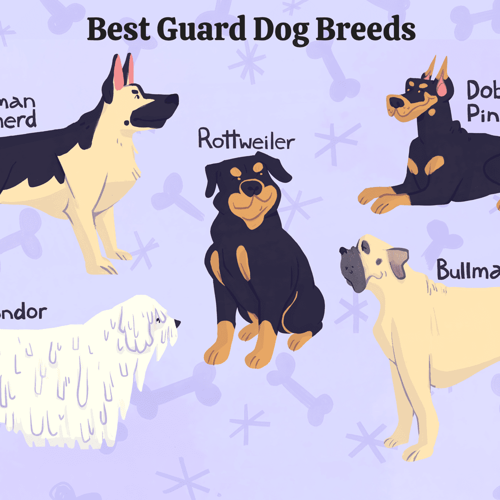 Best Dog Breeds