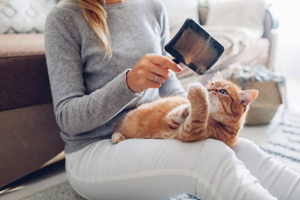 Brushes for combing cats