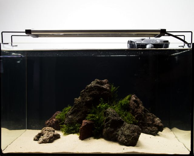 budget aquarium