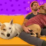 Can a dog “figure out” a bad person?