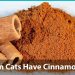 Anemia in cats: causes, symptoms, treatment