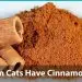 Anemia in cats: causes, symptoms, treatment