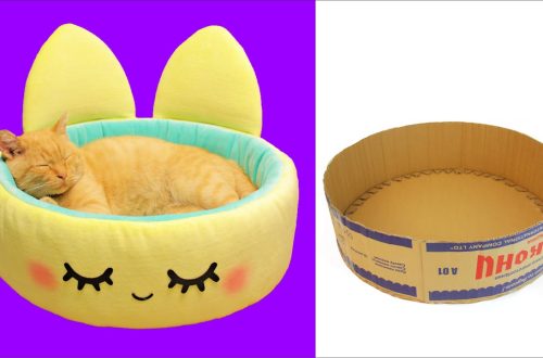 Cat bed: do it yourself