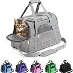 Cat carrier