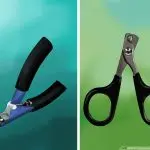 Cat clipper. How to choose?