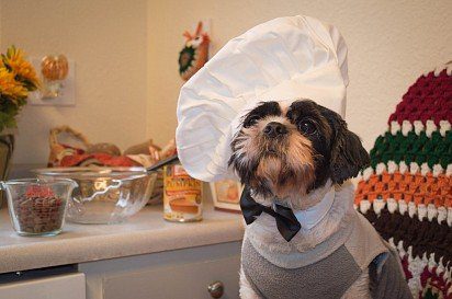 Monsieur Chef prefers gourmet cuisine, but also agrees to dry food
