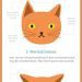 Cats and sleep: 5 interesting facts