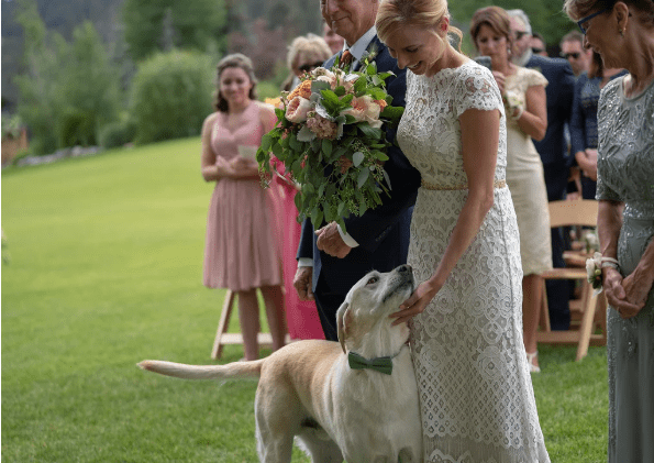 Check out how this dog decorated the wedding photos of his owners!