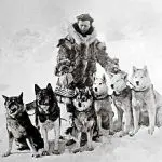 Chukotka Sled Dog