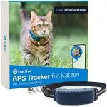 Collar with GPS tracker for a cat