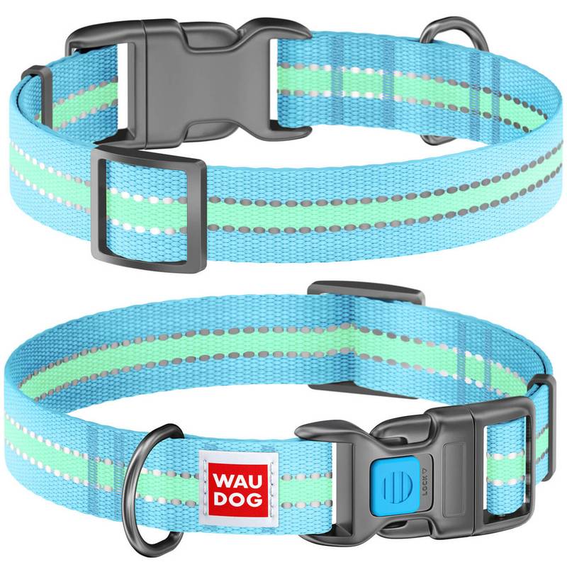 Collars for dogs - which one to choose?