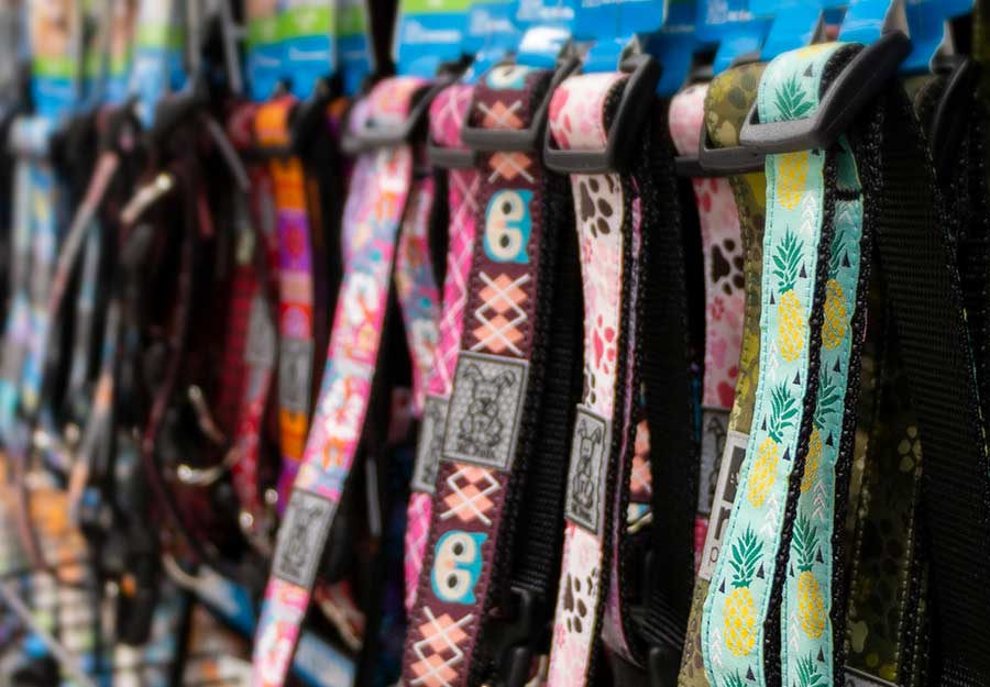 Collars for dogs &#8211; which one to choose?
