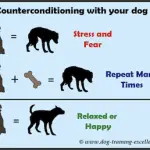 Counterconditioning: what is it?