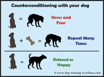 Counterconditioning: what is it?