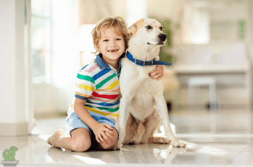 Cynophobia &#8211; how to make a friend out of a dog, not an enemy