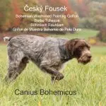 Czech Fousek