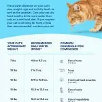 Daily amount of water for a cat