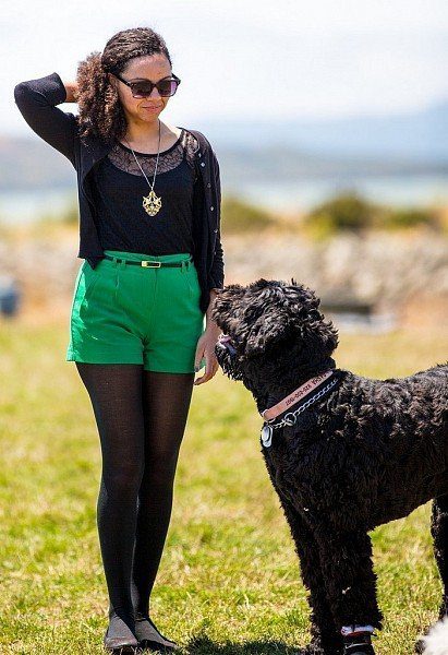 Russian black terrier with owner