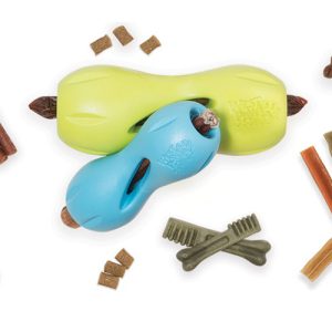 “Delicious” toys are the dream of any dog!