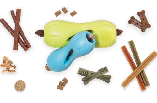 &#8220;Delicious&#8221; toys are the dream of any dog!