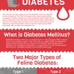 Diabetes Mellitus in Cats: Symptoms and Treatment