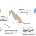 Diagnosis by photo: is it possible to assess the character of a dog from a photograph?