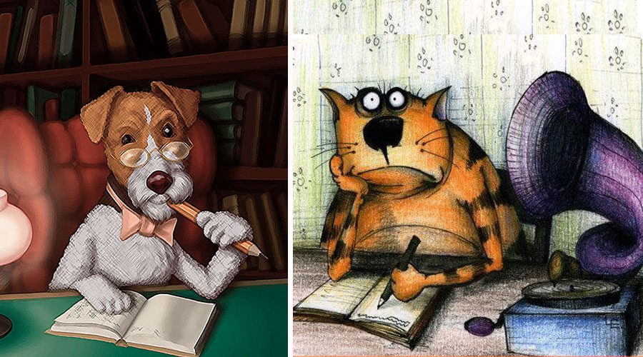 Diary of a dog vs diary of a cat