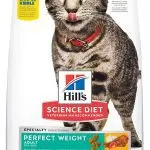 Diet food for cats