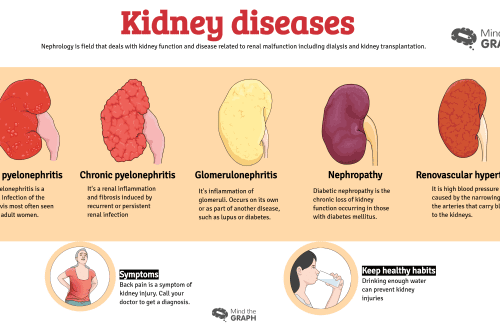 Diseases of the urinary organs