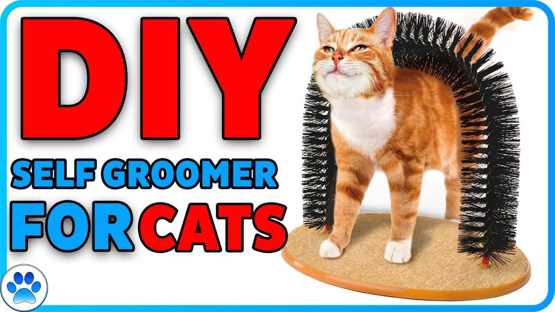 DIY cat grooming