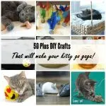DIY cat toys – 50 ideas