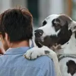 Do dogs empathize with people?