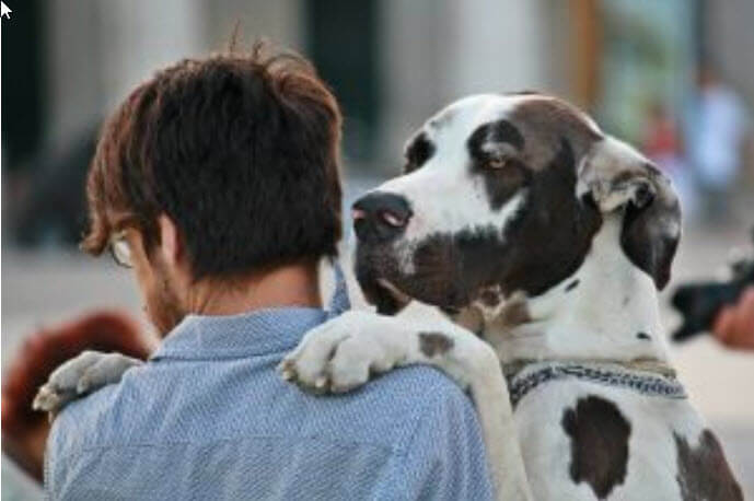 Do dogs empathize with people?