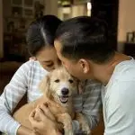 Do dogs have dog best friends?