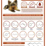 Do dogs stink