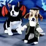 Do you need to dress up your dog?