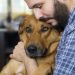 Keratitis in dogs &#8211; modern treatment options