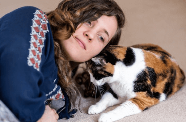 Does a cat understand our emotions?