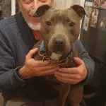 Does the dog know when the owner will return?