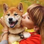 Does the dog like kisses and constant petting?