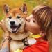 &#8220;I&#8217;m afraid of dogs!&#8221; Cynophobia: what is it and what to do about it?