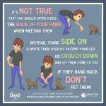Dog and child: rules of life