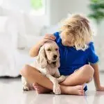 Dog as a method of raising children