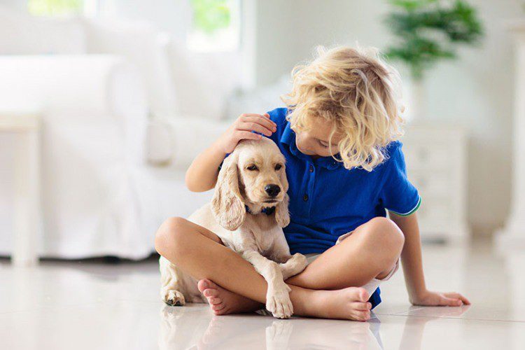 Dog as a method of raising children
