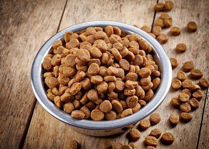 Dog food classes: lists, ratings, differences