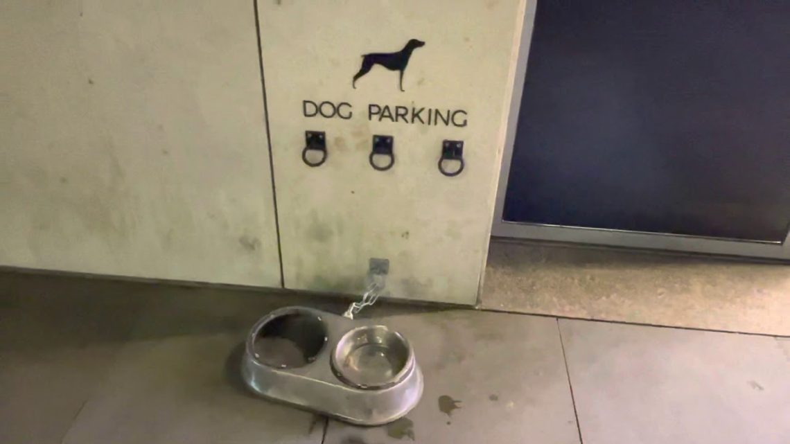 Parking za pse